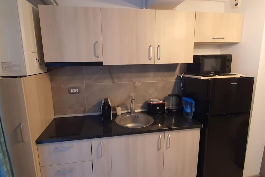 Alezzy Beach Apartament Prima Linie La Mare ナボダリ エクステリア 写真