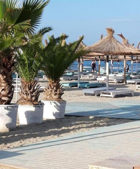 Alezzy Beach Apartament Prima Linie La Mare ナボダリ エクステリア 写真