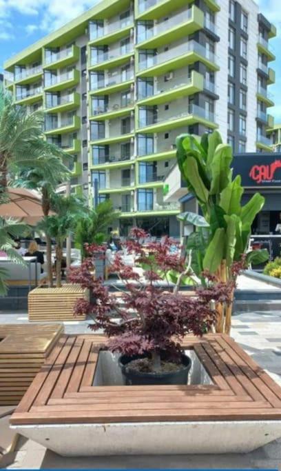 Alezzy Beach Apartament Prima Linie La Mare ナボダリ エクステリア 写真